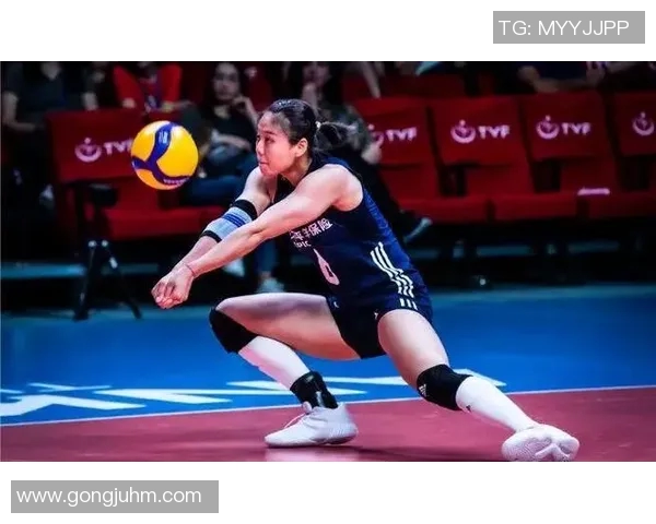 实时新闻上海排球队力量之争引发热议球迷与专家观点交锋